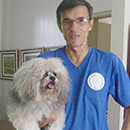 Love Dogs Adestramento Rio