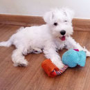 Love Dogs Adestramento Rio