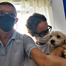 Love Dogs Adestramento Rio