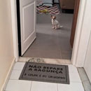 Love Dogs Adestramento Rio