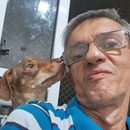 Love Dogs Adestramento Rio