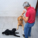 Love Dogs Adestramento Rio