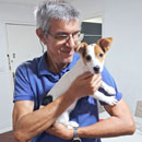 Love Dogs Adestramento Rio