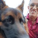 Love Dogs Adestramento Rio.