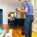 Love Dogs Adestramento Rio