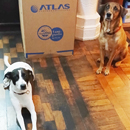 Love Dogs Adestramento Rio.