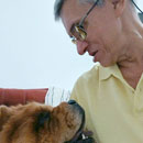 Love Dogs Adestramento Rio.