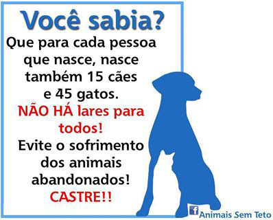 Para cada pessoa que nasce, nascem 15 cães e 45 gatos