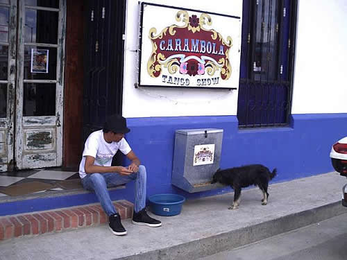 Restaurante colombiano disponibiliza comedouro para cães de rua. Restaurante colombiano disponibiliza comedouro para cães de rua.