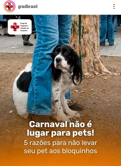 Carnaval não é lugar para Pets.