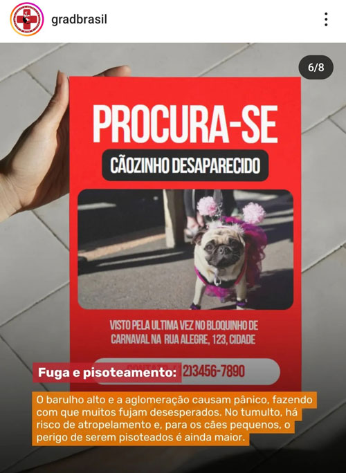 Carnaval não é lugar para Pets.