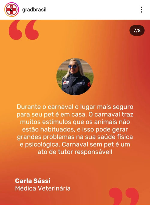 Carnaval não é lugar para Pets.