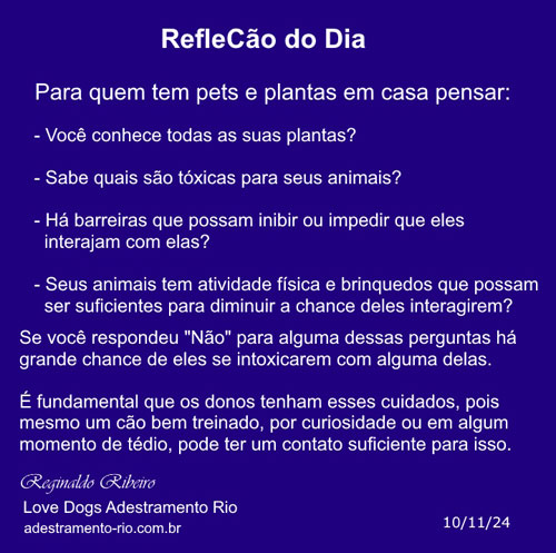 RefleCão do Dia