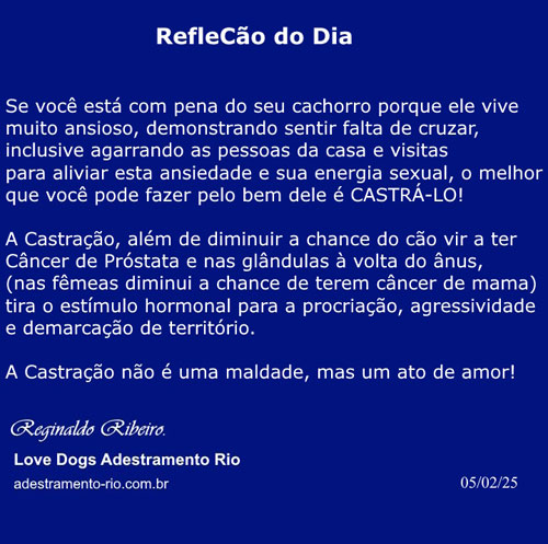 RefleCão do Dia