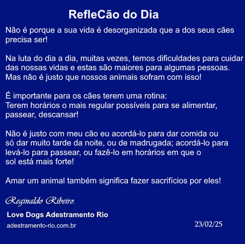 RefleCão do Dia